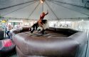 Bull Rider