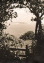 Isle of Wight