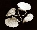 Pearl Set