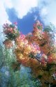 Rainbow shower 02