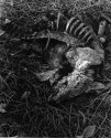 memento mori year 3 day 10