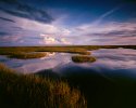 Big cypress marsh #1
