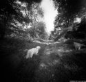 Pinhole-02