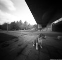 pinhol-06