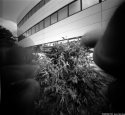 Pinhole-009