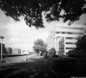 Pinhole-010b