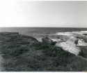 Montana De Oro, California