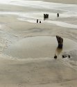 Tide's Out!