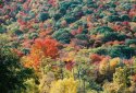 West Virgina Autumn