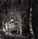 Stone