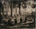 Oakwood Cemetery - 8x10 Ambrotype