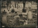 Oakwood Cemetery - 5x7 Ambrotype