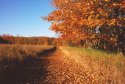 Into Mono Cliffs Provincial Park