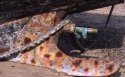 Boat detail