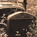 Forgotten Ford