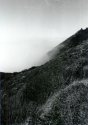 Hwy 1, Above the fog