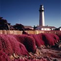 Pigeon Point in EIR 120