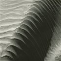 Newport wind patterns