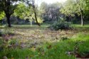 Pinhole-037