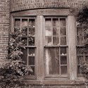 Window Ruins