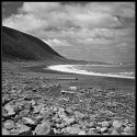 Wild South Coast