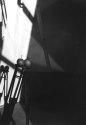 Bantam and the Tripod