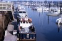 Kodachrome Exchange 3