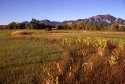 Bobolink Open Space