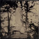 Oakwood Cemetery - 8x8 Ambrotype