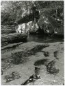 Ohiopyle - Meadow Run