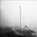 Misty day on river Loire