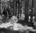 A Place in the Sun