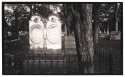 Oakwood Cemetery - 12x20 pt/pd print