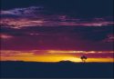 Kalgoorlie Sunrise#1