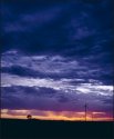 Sunrise via powerlines