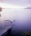 Windermere Dawn