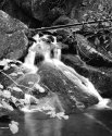 UpperForneyCreek002