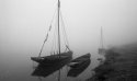 Misty day on river Loire