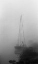 Misty day on river Loire