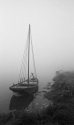 Misty day on river Loire