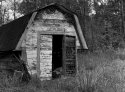 Old Shed