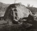 Heraulea