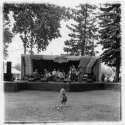 Folk Festival (1)