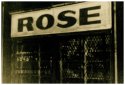 rose2