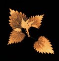Autumn Leaves #10 Nettle