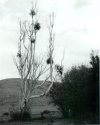 Laguna Lake Park - 001