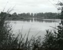 Laguna Lake Park - 002