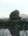 Laguna Lake Park - 003