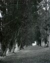 Laguna Lake Park - 004