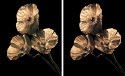 Lith, selenium or not - just for comparison